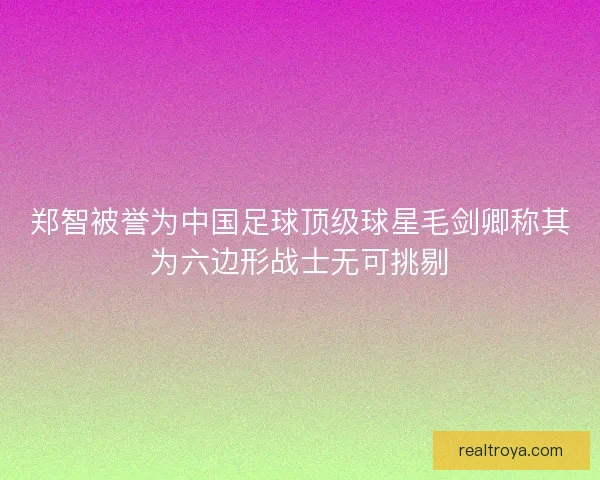 郑智被誉为中国足球顶级球星毛剑卿称其为六边形战士无可挑剔